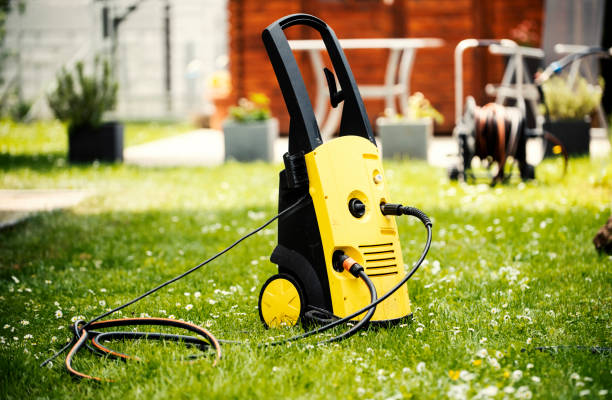 Best Pre-Holiday Cleaning  in Edwardsburg, MI